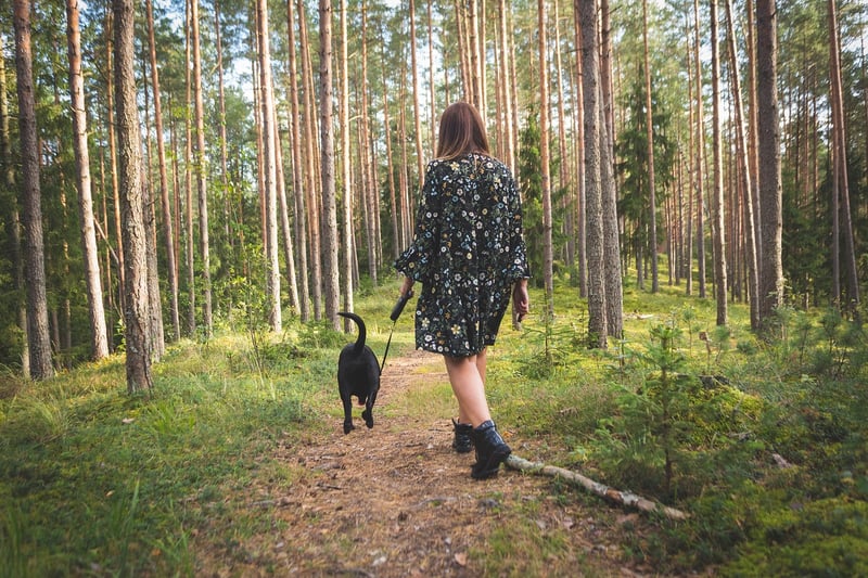 Contemplative Walking in Nature